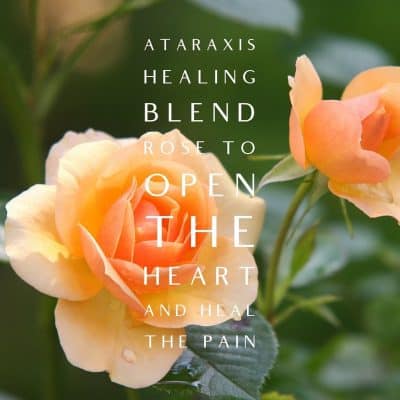 Open Your Heart